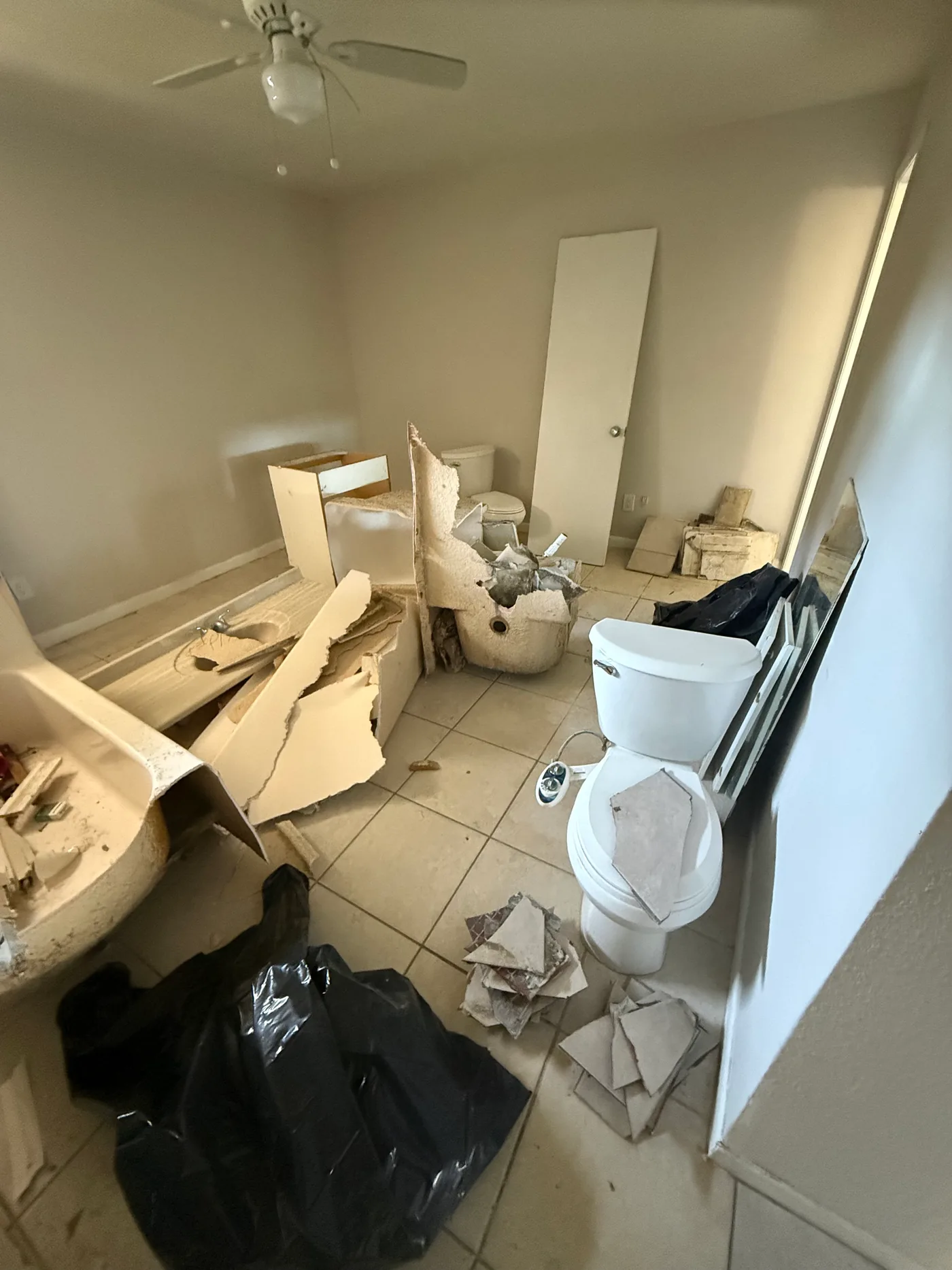 Bathroom Demo Debris — Before