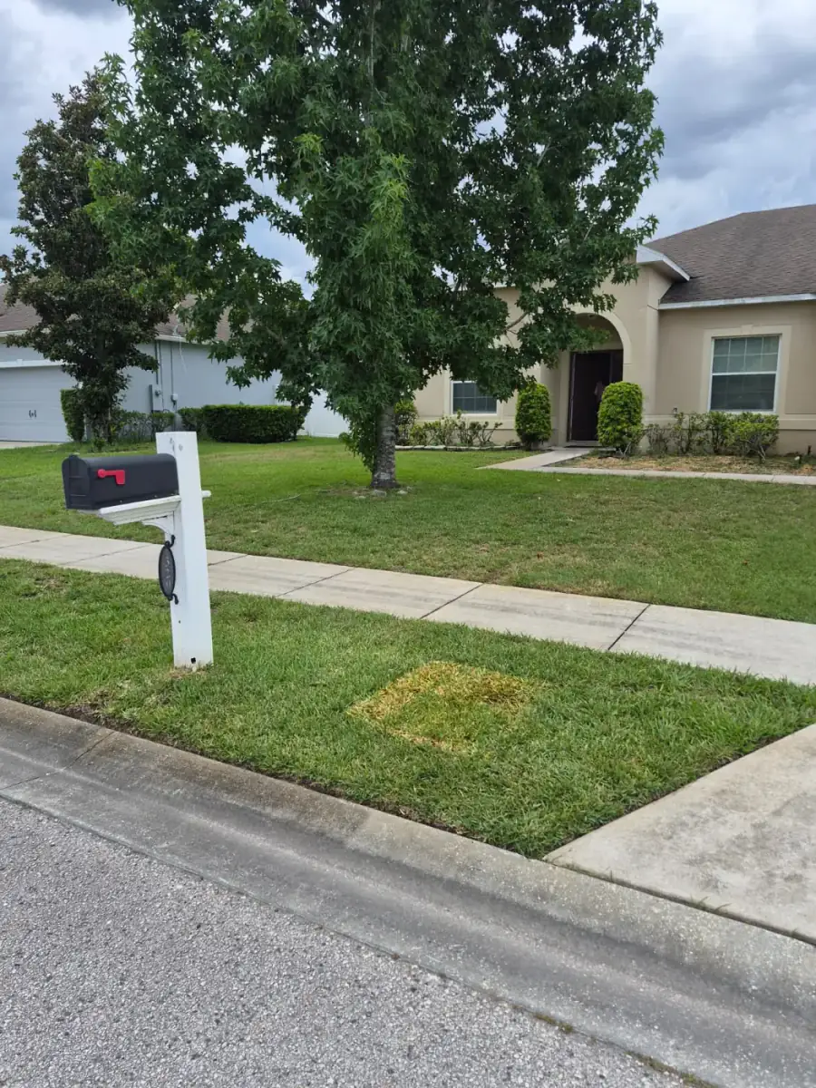 Curbside Freezer Pickup — After
